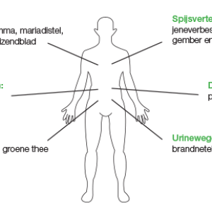 Salus detox lichaam